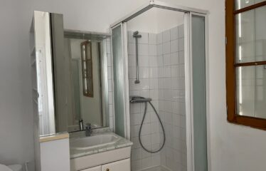 Maison type immeuble