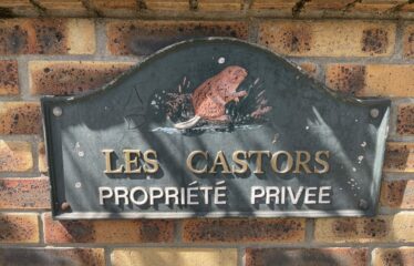 LES CASTORS