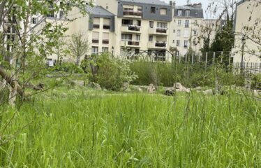 NOUVEAU – PAVILLON À PUTEAUX (92800)