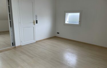 NOUVEAU – PAVILLON À PUTEAUX (92800)