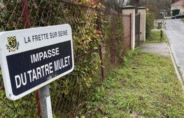 TERRAIN A LA FRETTE-SUR-SEINE