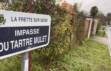 TERRAIN A LA FRETTE-SUR-SEINE