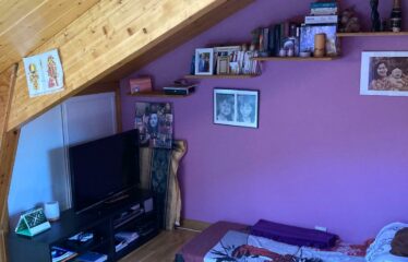 TRIPLEX CENTRE VILLE NANTERRE