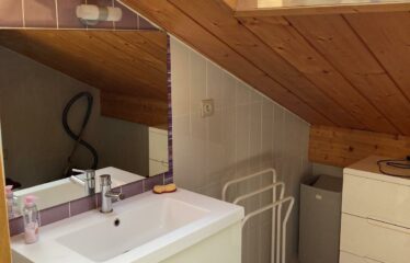 TRIPLEX CENTRE VILLE NANTERRE