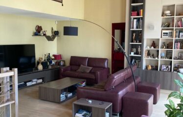 TRIPLEX CENTRE VILLE NANTERRE