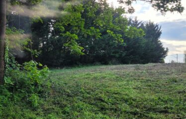 TERRAIN A LA FRETTE-SUR-SEINE