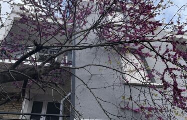 IMMEUBLE NANTERRE RUE DE SURESNES