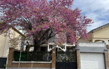 IMMEUBLE NANTERRE RUE DE SURESNES