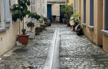 Le petit Venise de Nanterre