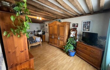 Le petit Venise de Nanterre